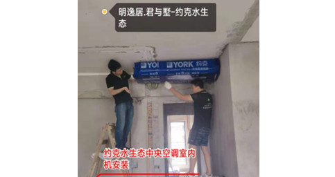 约克香蕉视频污在线观看两联供